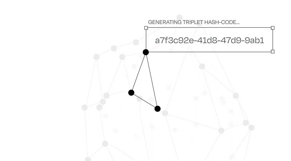 Triplet zoom and hash generation